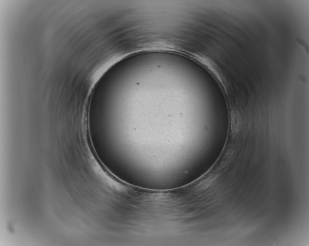 X0000102361387200808081120