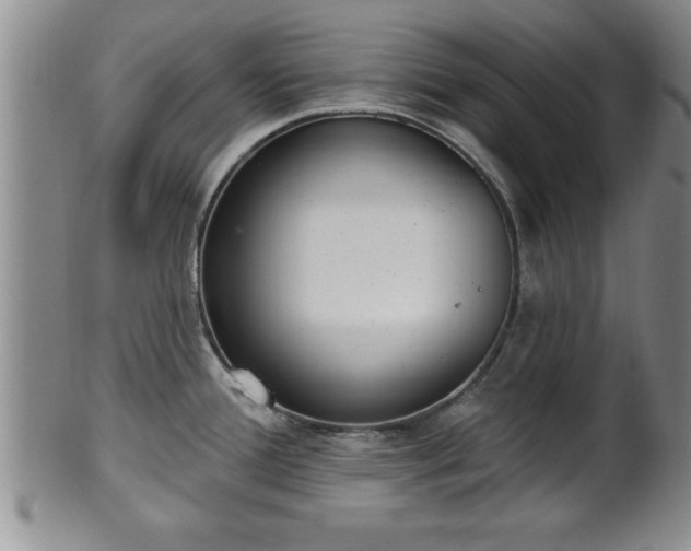 X0000102361388200808081120