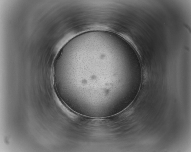 X0000102361391200808081120