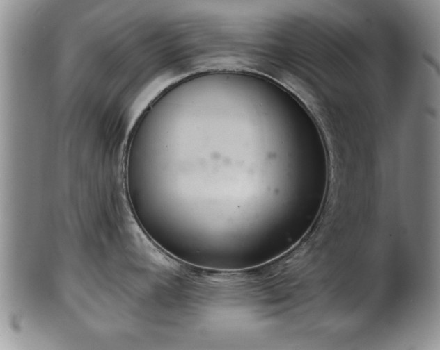 X0000102361392200808081120