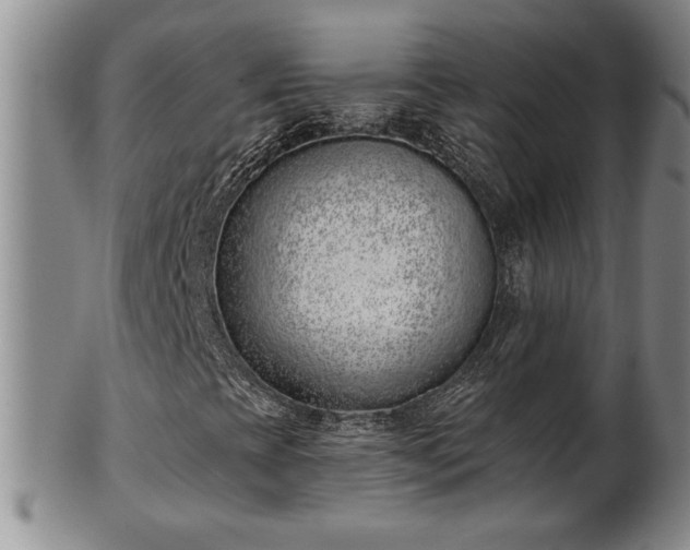 X0000102361393200808081120