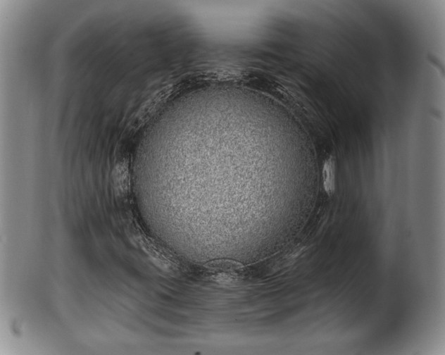 X0000102361395200808081120