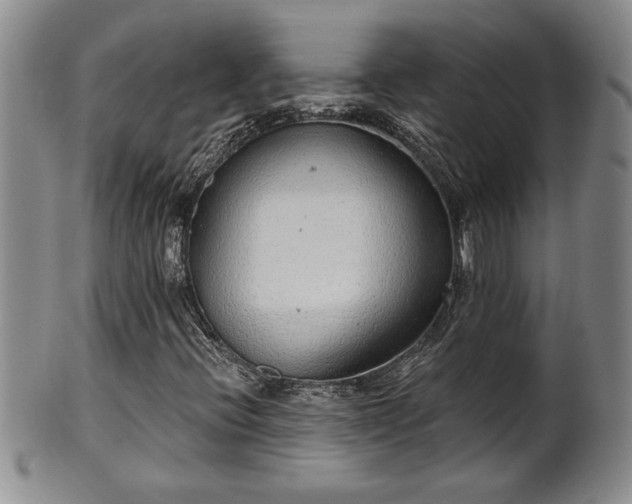 X0000102361396200808081120