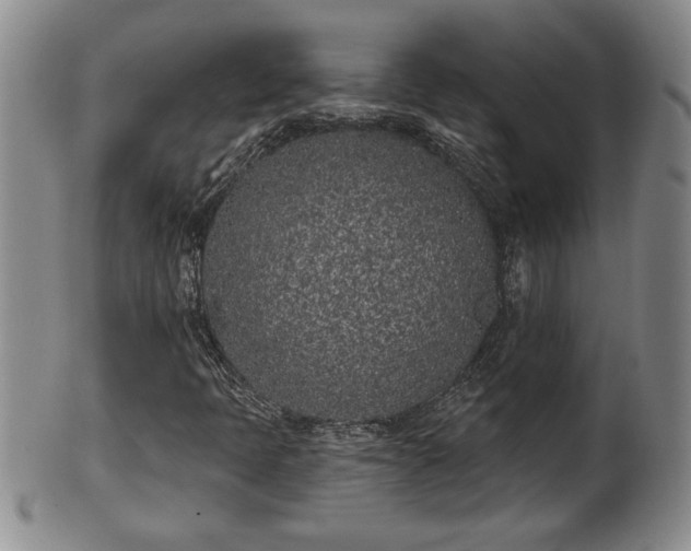 X0000102361397200808081120