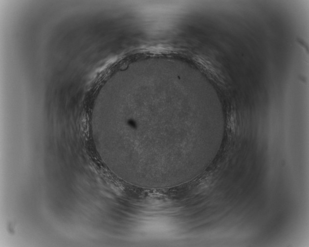X0000102361398200808081120