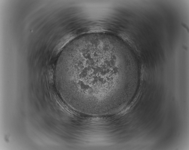 X0000102361401200808081120