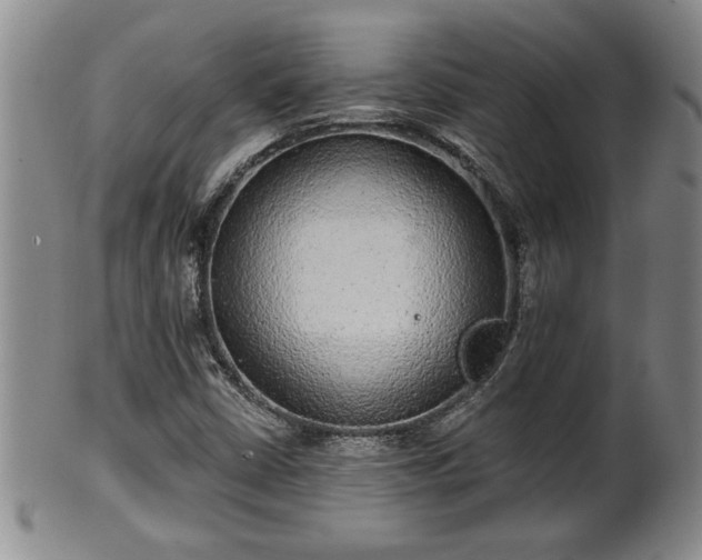 X0000102361402200808081120