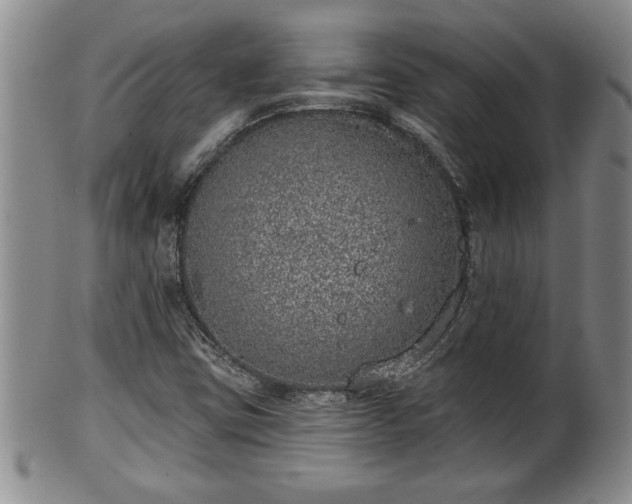 X0000102361403200808081120