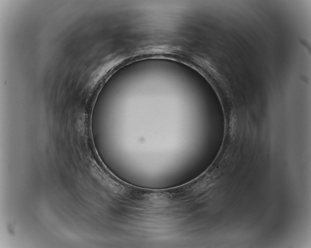X0000102361404200808081120