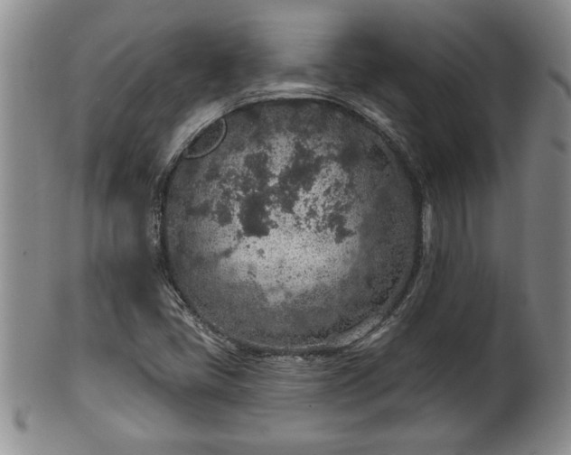 X0000102361405200808081120