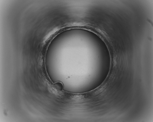 X0000102361406200808081120