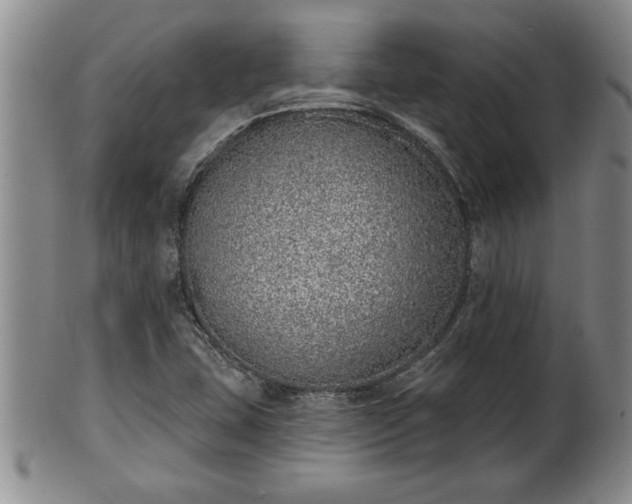 X0000102361407200808081120