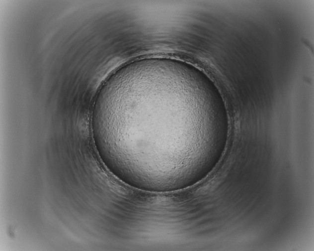 X0000102361409200808081120