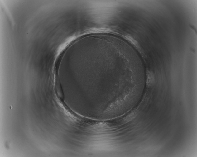 X0000102361414200808081120