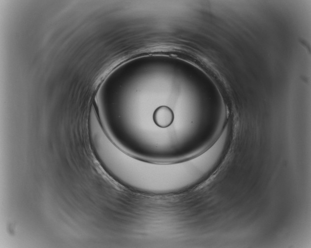 X0000102361417200808081120