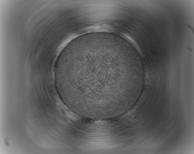 X0000102361419200808081120
