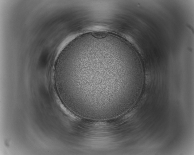 X0000102361421200808081120