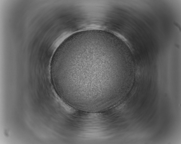 X0000102361423200808081120
