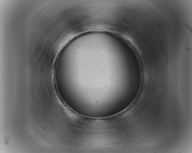 X0000102361424200808081120
