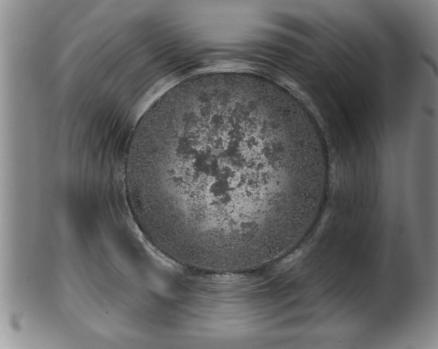 X0000102361425200808081120