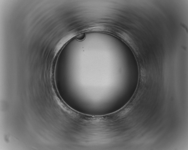 X0000102361426200808081120