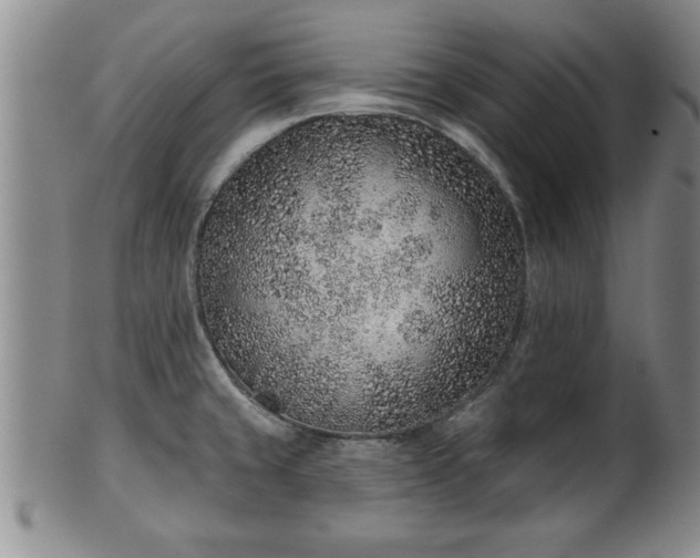 X0000102361429200808081120