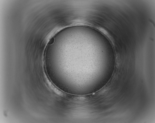 X0000102361431200808081120
