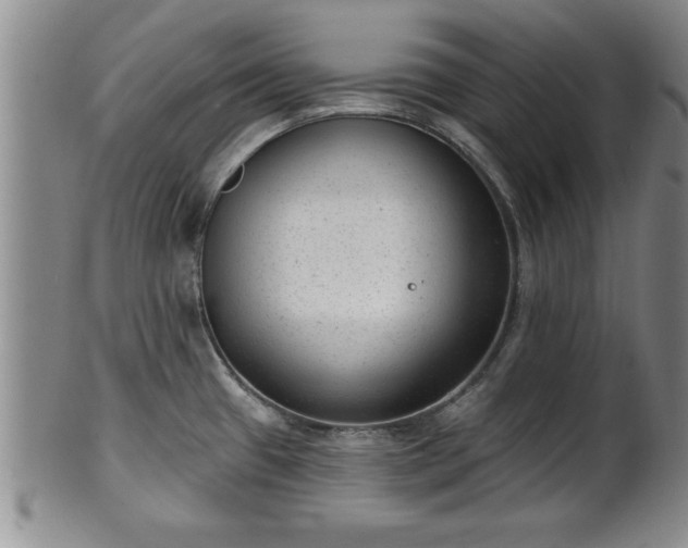 X0000102361433200808081120