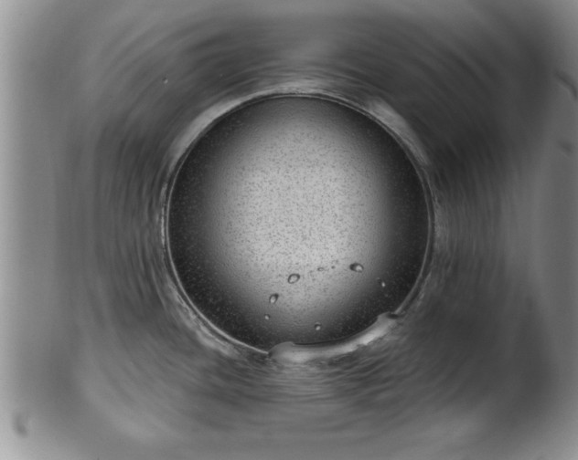 X0000102361436200808081120