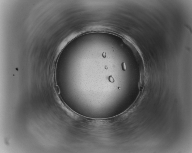 X0000102361437200808081120