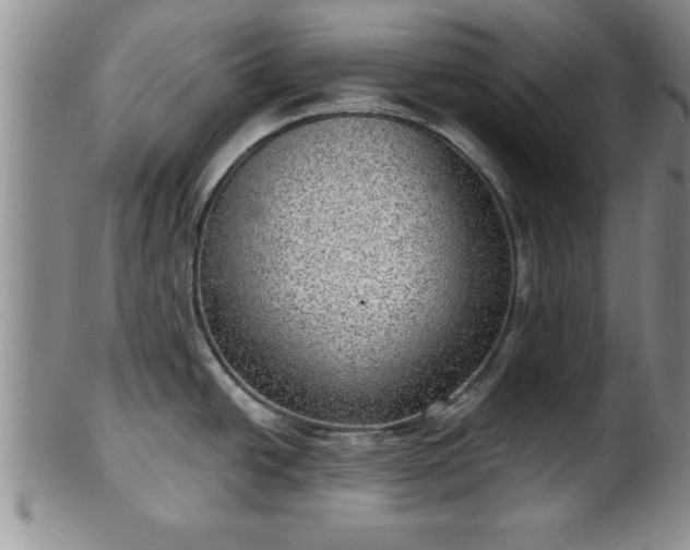 X0000102361438200808081120