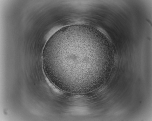 X0000102361439200808081120