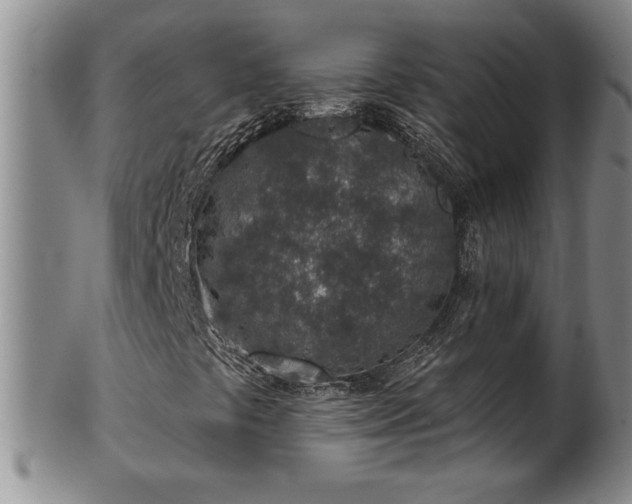 X0000102361441200808081120