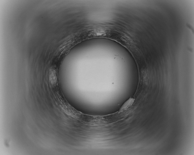 X0000102361442200808081120
