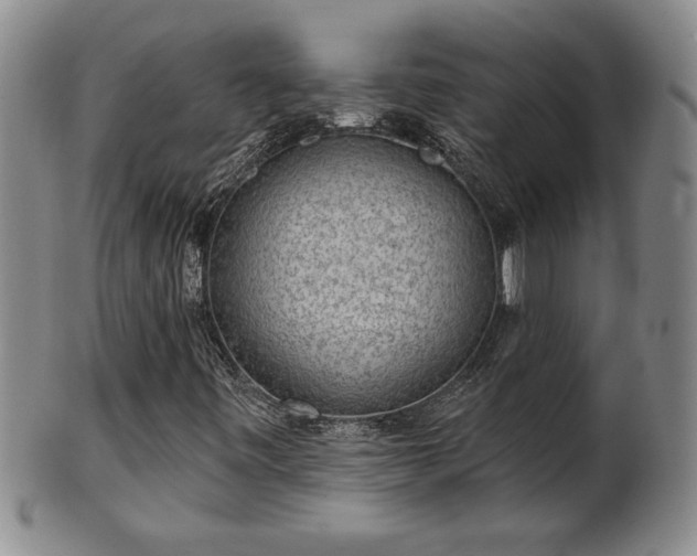 X0000102361443200808081120