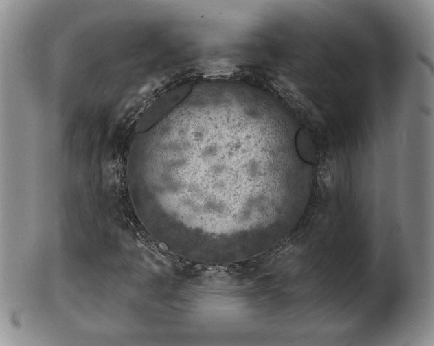 X0000102361445200808081120