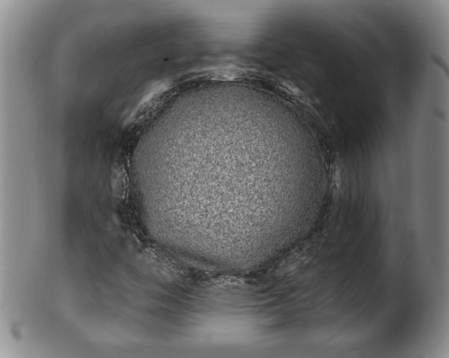 X0000102361446200808081120