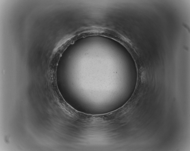 X0000102361448200808081120