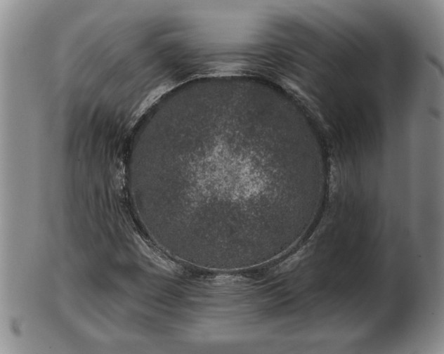 X0000102361449200808081120