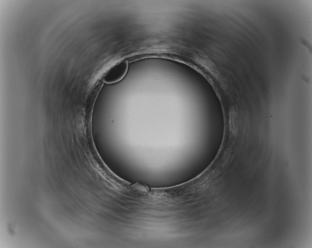 X0000102361452200808081120