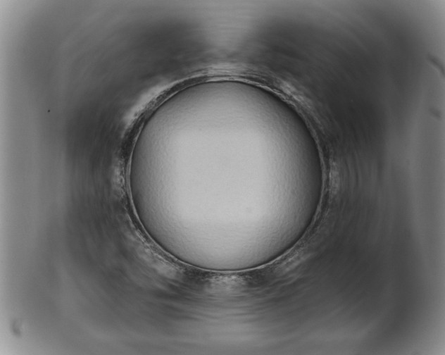 X0000102361454200808081120