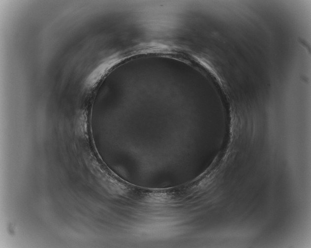 X0000102361455200808081120