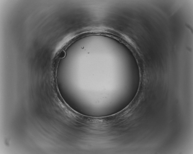 X0000102361456200808081120
