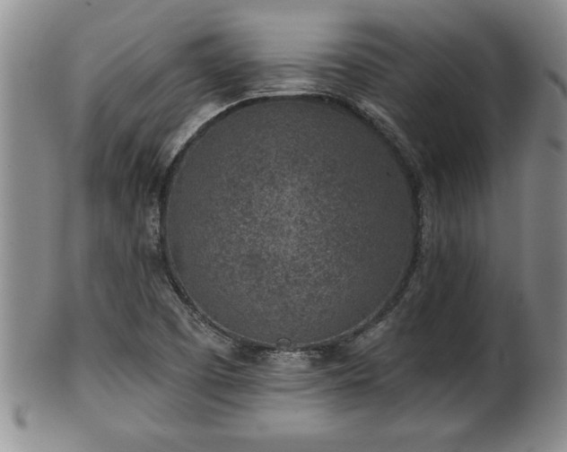 X0000102361457200808081119