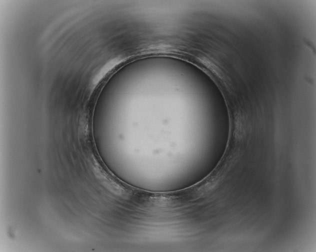 X0000102361458200808081119