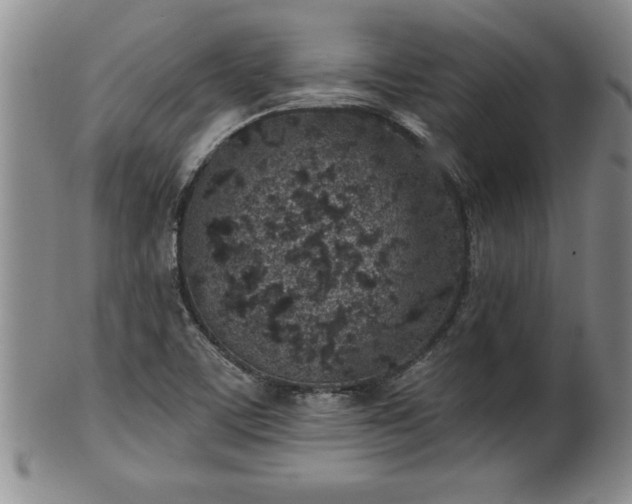 X0000102361459200808081119