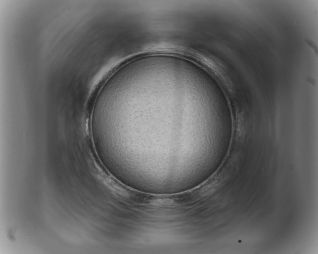 X0000102361462200808081119