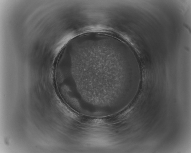 X0000102361463200808081119