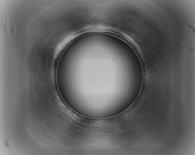 X0000102361464200808081119