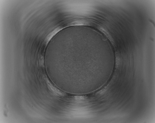 X0000102361465200808081119